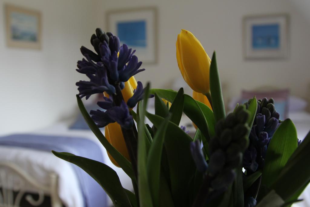 Sunny Cottage Maidenhead Room photo